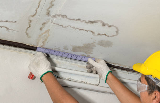 Reliable Burst Pipe Cleanup contractor in Leon, VA by Water Damage Irwin